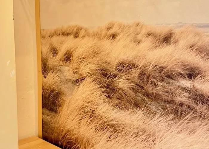 Appartement Strand-gut, 12-29 *